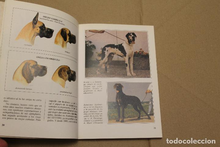 Libros de segunda mano: EL DOGO ALEM&Aacute;N, PERROS DE RAZA, EDITORIAL DE VECCHI - Foto 2