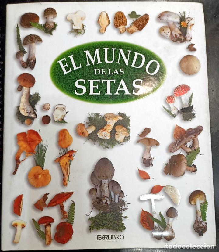 Libros de segunda mano: Libro: El Mundo de las Setas, Iberlibro, 2004 - Foto 1