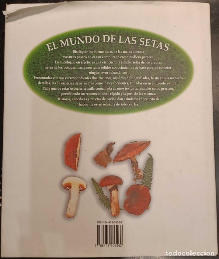 Libros de segunda mano: Libro: El Mundo de las Setas, Iberlibro, 2004 - Foto 3