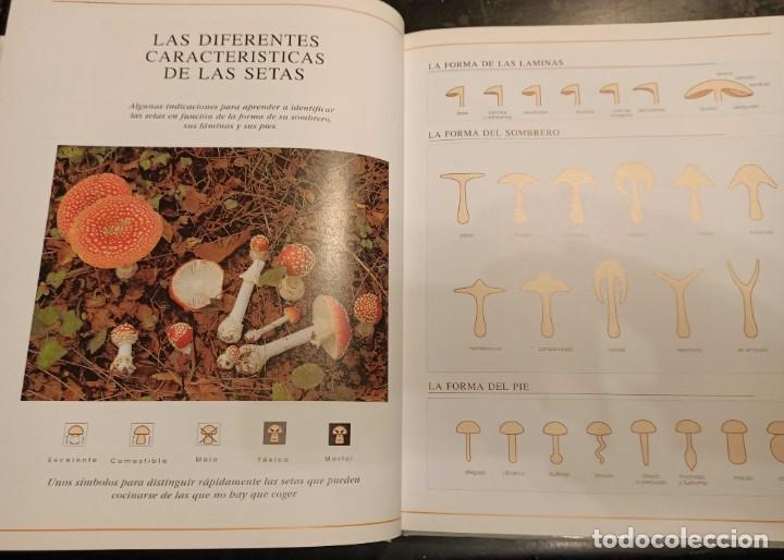 Libros de segunda mano: Libro: El Mundo de las Setas, Iberlibro, 2004 - Foto 5