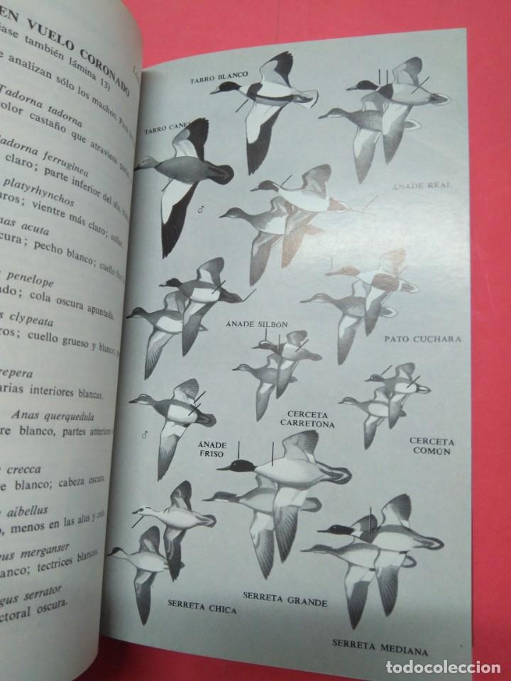 Libros de segunda mano: GUIA DE CAMPO DE LAS AVES DE ESPA&Ntilde;A Y EUROPA - Foto 3