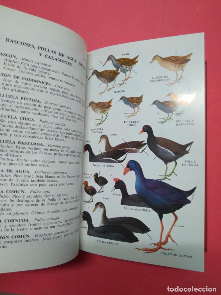 Libros de segunda mano: GUIA DE CAMPO DE LAS AVES DE ESPA&Ntilde;A Y EUROPA - Foto 4
