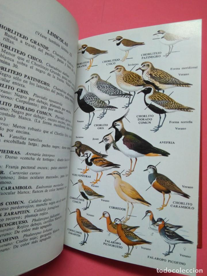 Libros de segunda mano: GUIA DE CAMPO DE LAS AVES DE ESPA&Ntilde;A Y EUROPA - Foto 5