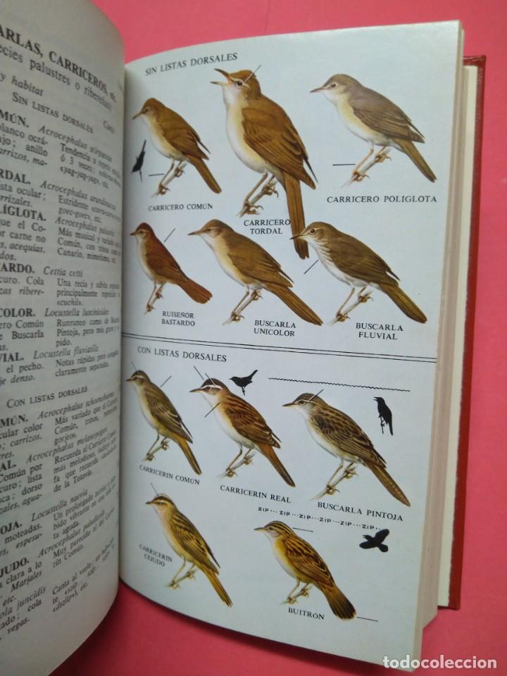 Libros de segunda mano: GUIA DE CAMPO DE LAS AVES DE ESPA&Ntilde;A Y EUROPA - Foto 6