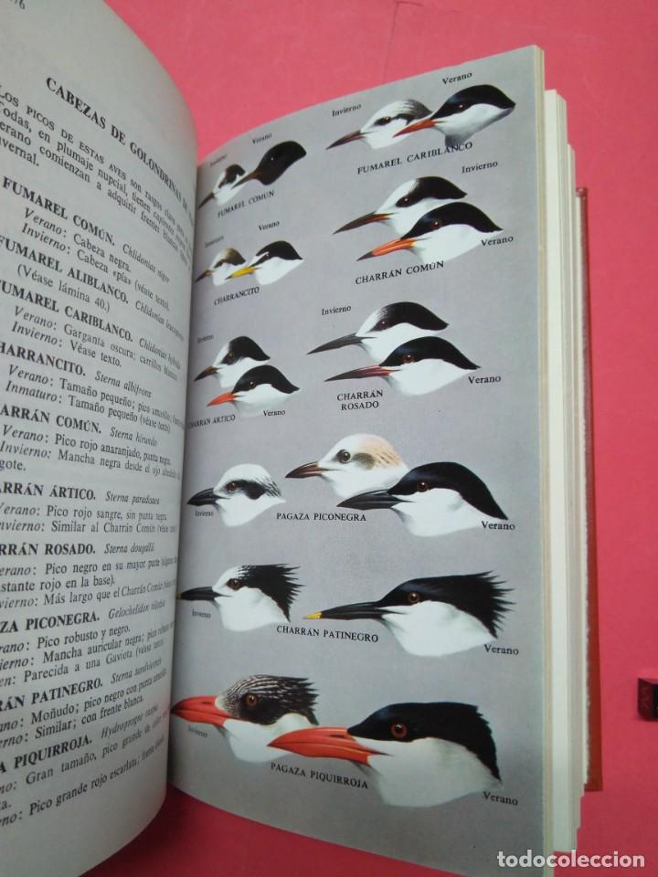 Libros de segunda mano: GUIA DE CAMPO DE LAS AVES DE ESPA&Ntilde;A Y EUROPA - Foto 9