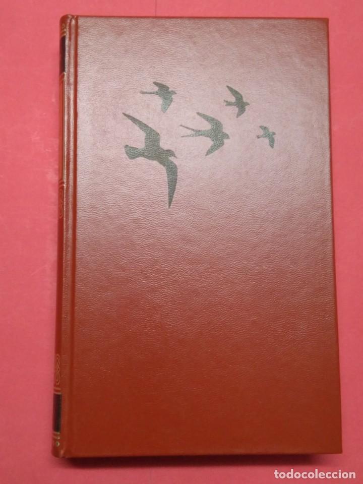 Libros de segunda mano: GUIA DE CAMPO DE LAS AVES DE ESPA&Ntilde;A Y EUROPA - Foto 11