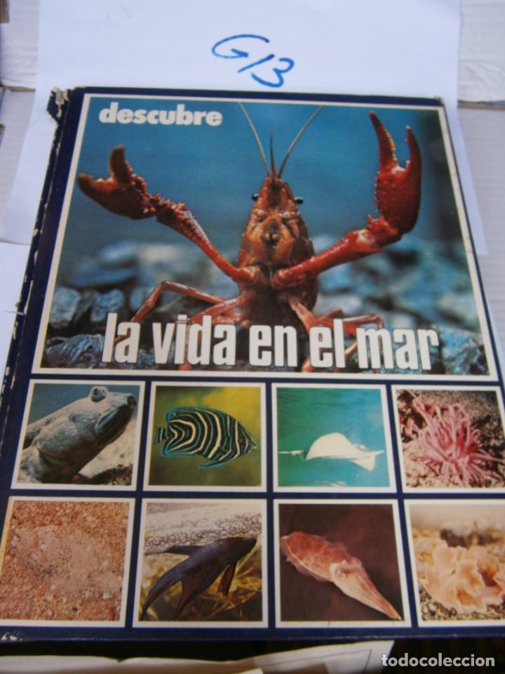 Libros de segunda mano: DESCUBRE LA VIDA EN EL MAR - Foto 1