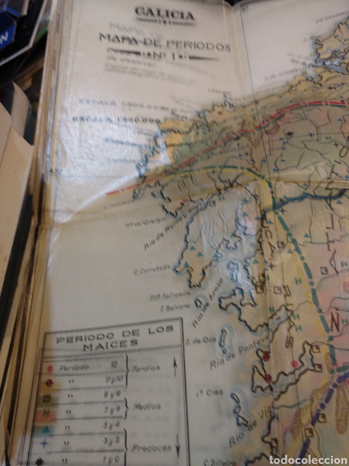Libri di seconda mano: GU&Iacute;A PARA LA ELECCI&Oacute;N DE MAICES H&Iacute;BRIDOS EN GALICIA . PONTEVEDRA 1953