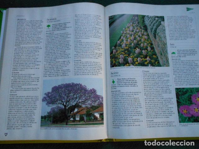 Libros de segunda mano: El libro de oro de las plantas y los jardines ABC - Foto 2