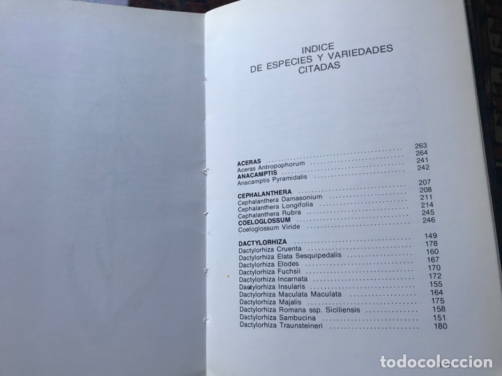 Libros de segunda mano: Orqu&iacute;deas de Navarra. Marianne Van der Sluys - Foto 2