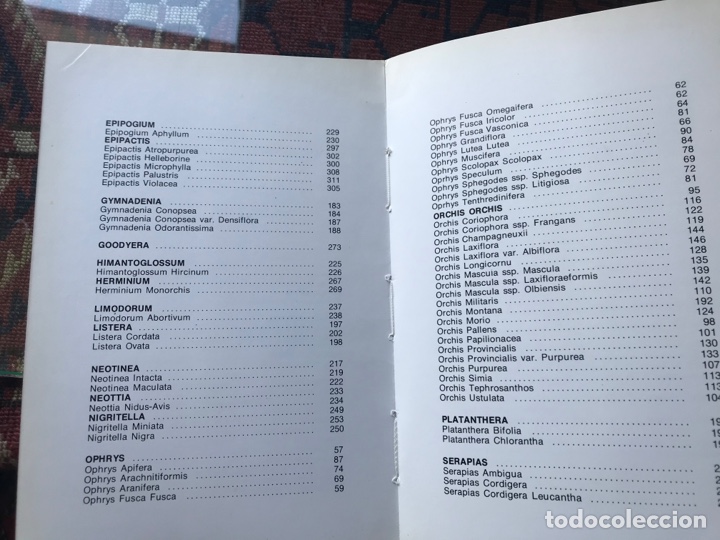 Libros de segunda mano: Orqu&iacute;deas de Navarra. Marianne Van der Sluys - Foto 3