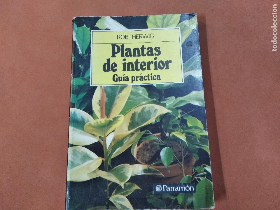 Libros de segunda mano: plantas de interior gu&iacute;a pr&aacute;ctica - rob herwig - parram&oacute;n - JDB - Foto 1