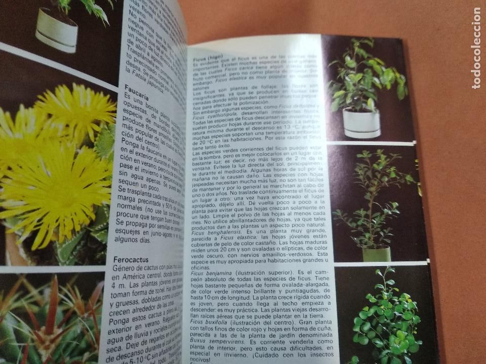 Libros de segunda mano: plantas de interior gu&iacute;a pr&aacute;ctica - rob herwig - parram&oacute;n - JDB - Foto 2