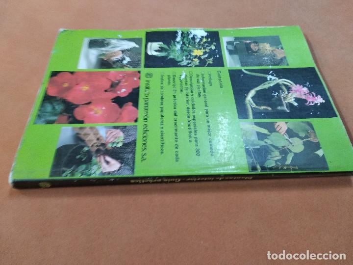 Libros de segunda mano: plantas de interior gu&iacute;a pr&aacute;ctica - rob herwig - parram&oacute;n - JDB - Foto 3