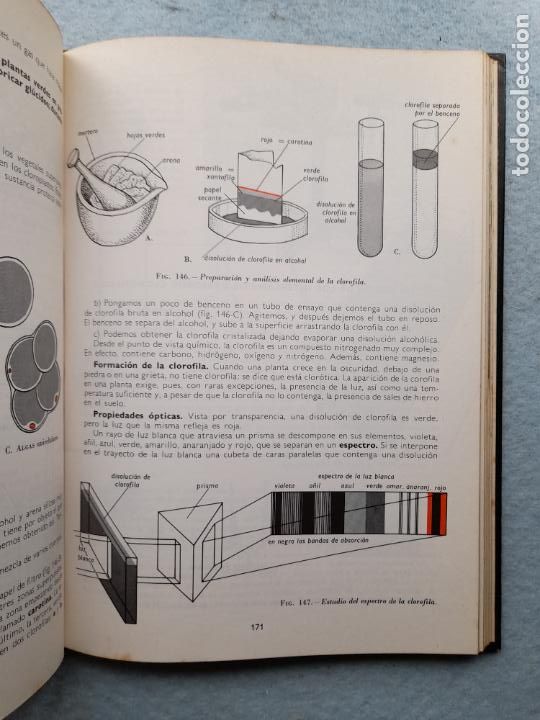 Libros de segunda mano: Bot&aacute;nica. Andr&eacute; Th&eacute;ron. A&ntilde;o 1977. - Foto 10