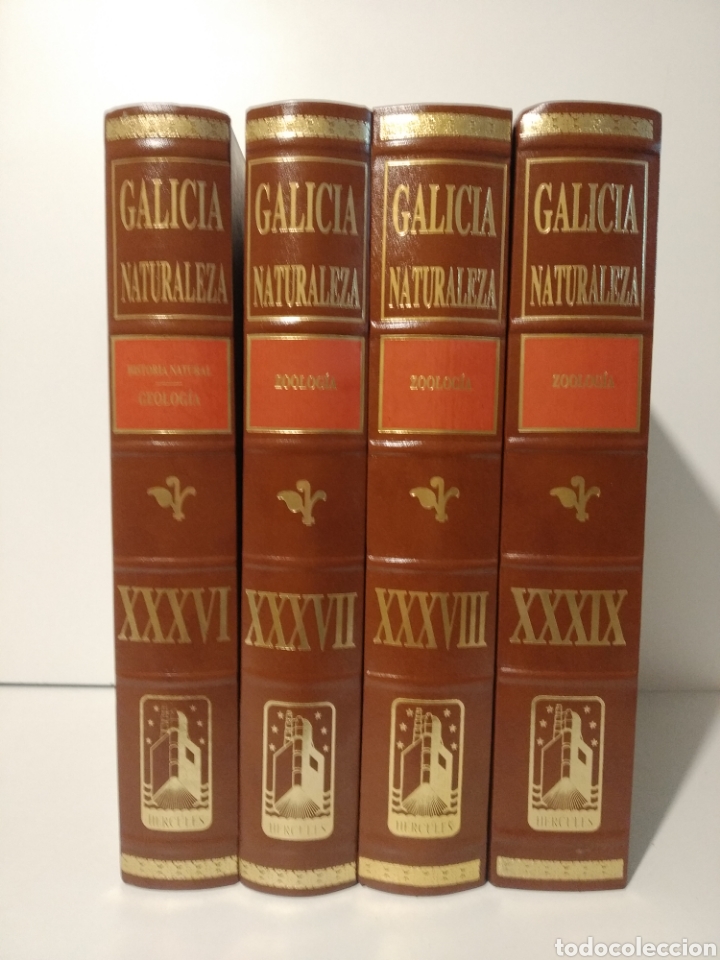 Libros de segunda mano: PROYECTO GALICIA &ndash; NATURALEZA . H&eacute;rcules ediciones - Foto 1