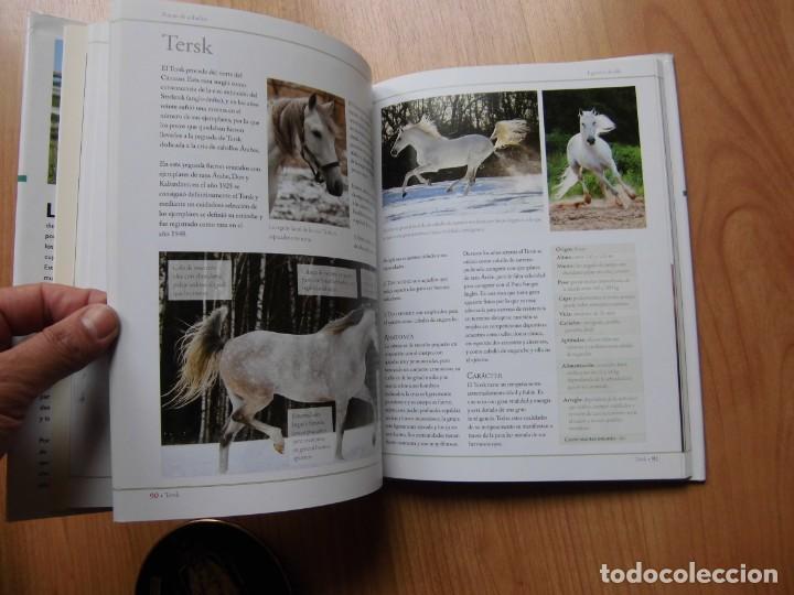 Libros de segunda mano: GU&Iacute;A DEFINITIVA DE RAZAS DE CABALLOS LIBSA C.M. COMPS - Foto 4