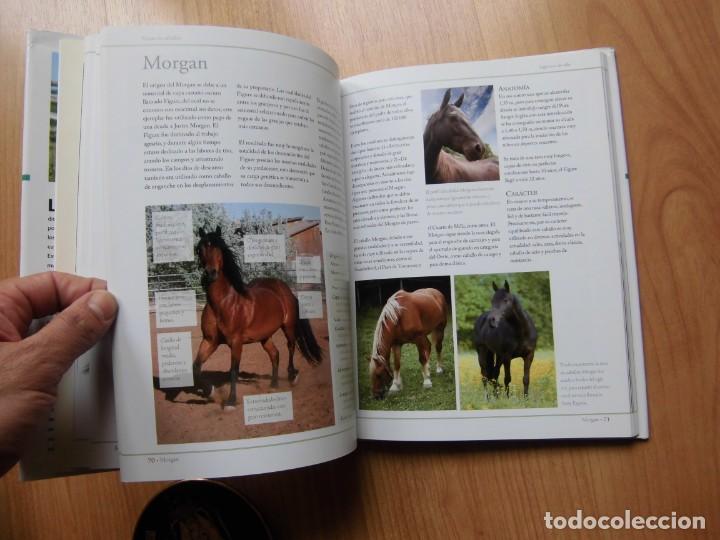 Libros de segunda mano: GU&Iacute;A DEFINITIVA DE RAZAS DE CABALLOS LIBSA C.M. COMPS - Foto 5