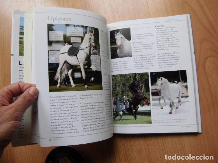 Libros de segunda mano: GU&Iacute;A DEFINITIVA DE RAZAS DE CABALLOS LIBSA C.M. COMPS - Foto 6