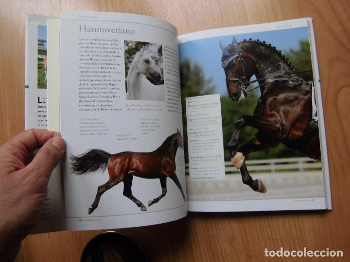 Libros de segunda mano: GU&Iacute;A DEFINITIVA DE RAZAS DE CABALLOS LIBSA C.M. COMPS - Foto 7