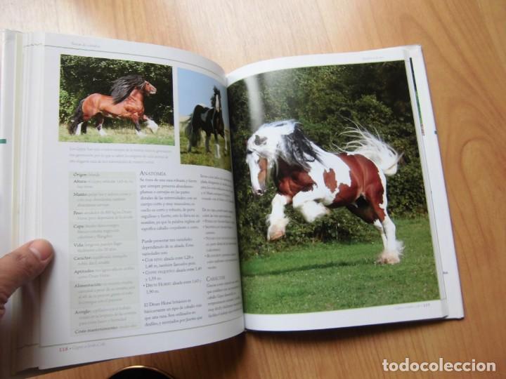 Libros de segunda mano: GU&Iacute;A DEFINITIVA DE RAZAS DE CABALLOS LIBSA C.M. COMPS - Foto 8