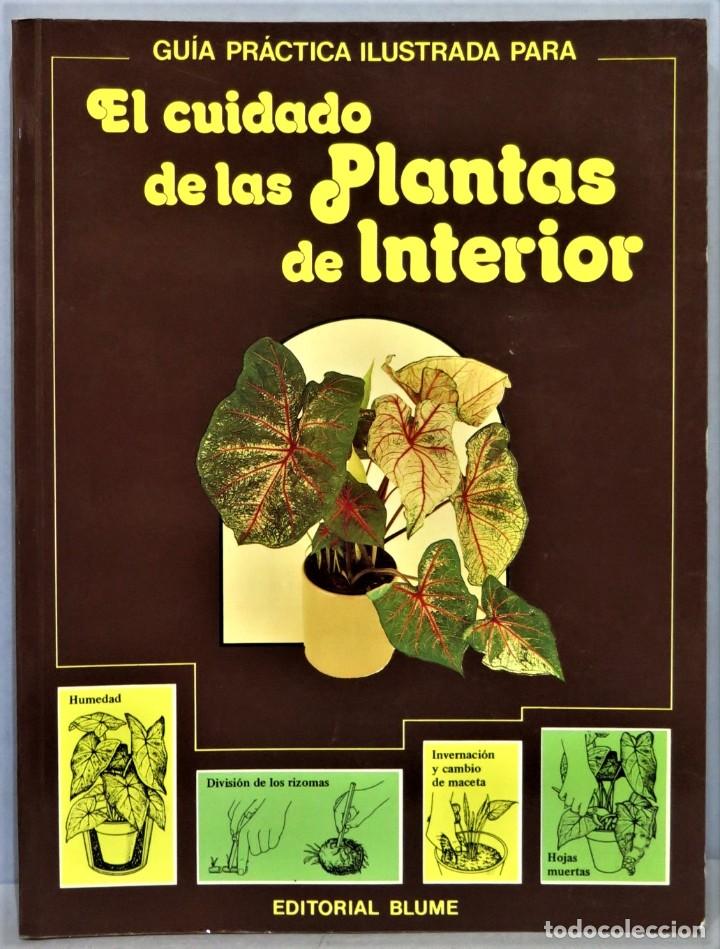 Libros de segunda mano: EL CUIDADO DE LAS PLANTAS DE INTERIOR - Foto 1