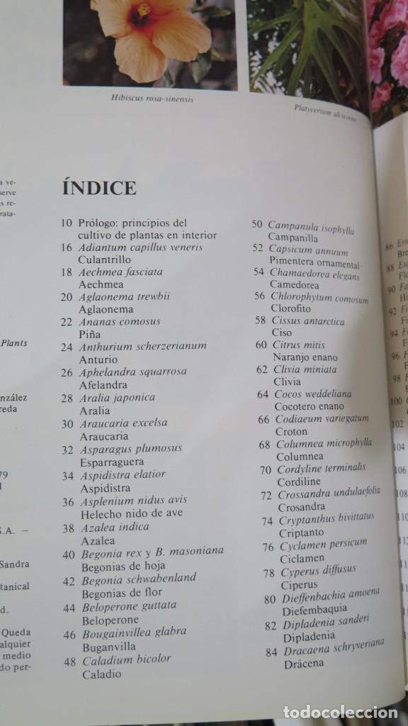 Libros de segunda mano: EL CUIDADO DE LAS PLANTAS DE INTERIOR - Foto 2