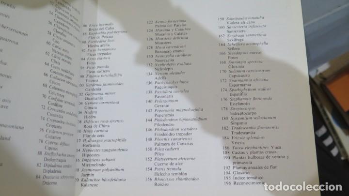 Libros de segunda mano: EL CUIDADO DE LAS PLANTAS DE INTERIOR - Foto 3