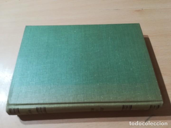 Libros de segunda mano: AMANECER EN LAS RUINAS / HANS HABE / &Eacute;XITO / GUI-20 - Foto 2