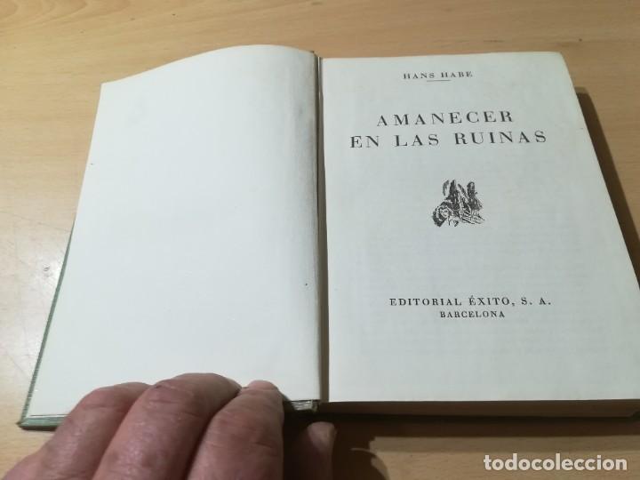 Libros de segunda mano: AMANECER EN LAS RUINAS / HANS HABE / &Eacute;XITO / GUI-20 - Foto 3