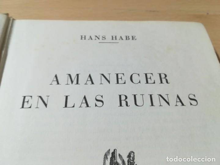 Libros de segunda mano: AMANECER EN LAS RUINAS / HANS HABE / &Eacute;XITO / GUI-20 - Foto 4