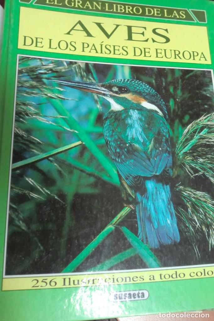 El Gran Libro De Las Aves De Los Países De Euro Comprar Libros De Biología Y Botánica En