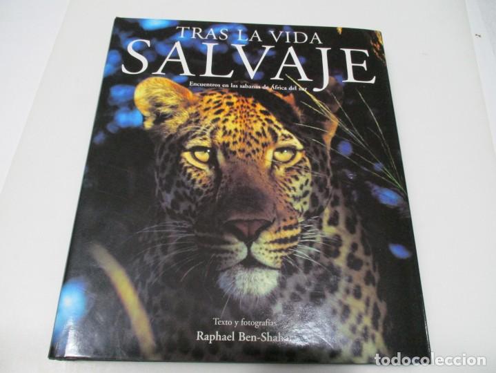Libros de segunda mano: RAPHAEL BEN-SHAHAR Tras la vida salvaje W6205 - Foto 1