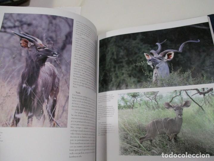 Libros de segunda mano: RAPHAEL BEN-SHAHAR Tras la vida salvaje W6205 - Foto 3