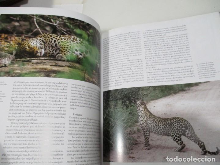 Libros de segunda mano: RAPHAEL BEN-SHAHAR Tras la vida salvaje W6205 - Foto 4