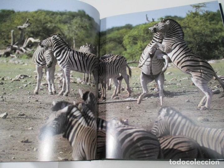Libros de segunda mano: RAPHAEL BEN-SHAHAR Tras la vida salvaje W6205 - Foto 5