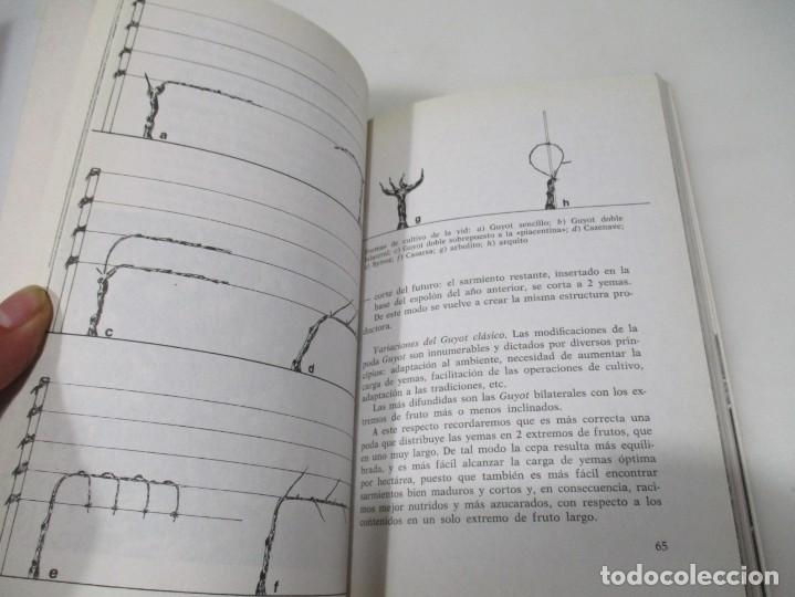 Libros de segunda mano: ROBERTO MIRAVALLE El libro de la poda W6209 - Foto 2