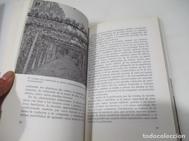 Libros de segunda mano: ROBERTO MIRAVALLE El libro de la poda W6209 - Foto 3