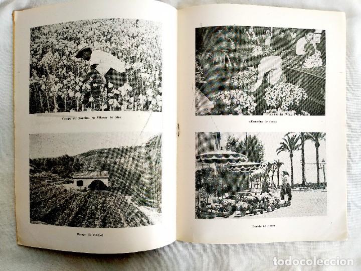 Libros de segunda mano: 1957 - FLORES DE ESPA&Ntilde;A - TEMAS ESPA&Ntilde;OLES N&Uacute;M. 313 - Foto 2