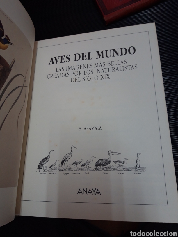 Libros de segunda mano: Aves del mundo H. AMARATA - Foto 3