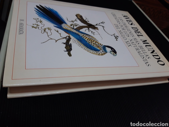 Libros de segunda mano: Aves del mundo H. AMARATA - Foto 4