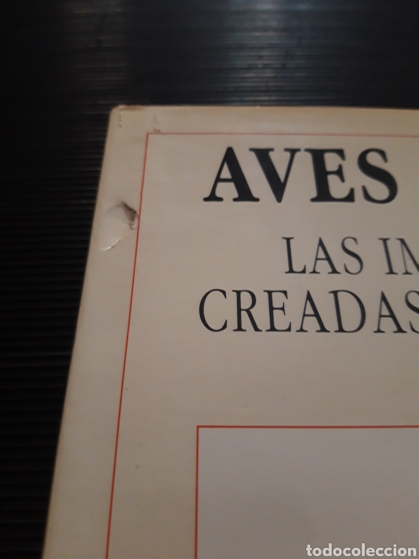 Libros de segunda mano: Aves del mundo H. AMARATA - Foto 8