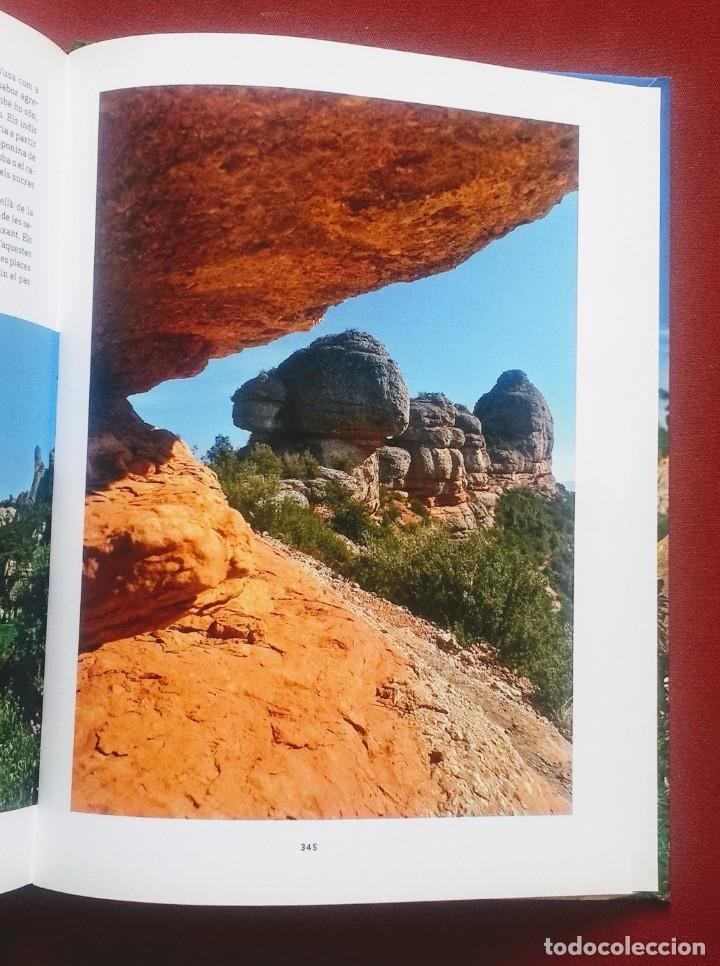 Libros de segunda mano: FLORS DE MONTSERRAT - ALBERT AREAN I TRABAL - MNSRT - Foto 4