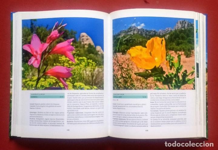 Libros de segunda mano: FLORS DE MONTSERRAT - ALBERT AREAN I TRABAL - MNSRT - Foto 5