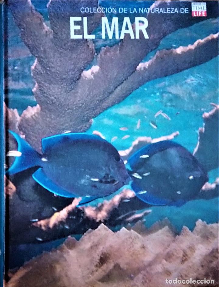 Libros de segunda mano: COLECCI&Oacute;N DE LA NATURALEZA - LIBROS TIME LIFE - EL MAR - Foto 1
