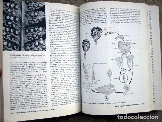 Libros de segunda mano: Biolog&iacute;a, de Alvin Nason - Foto 3