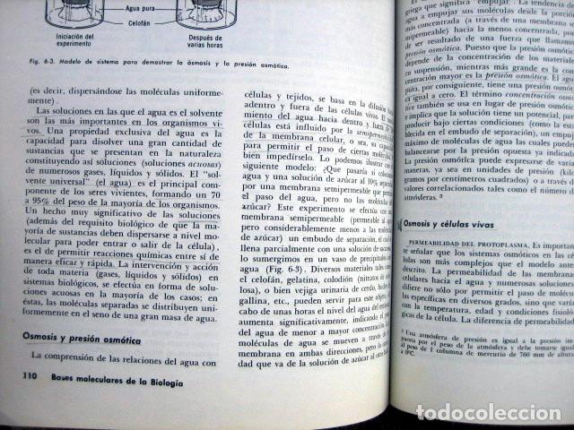 Libros de segunda mano: Biolog&iacute;a, de Alvin Nason - Foto 4