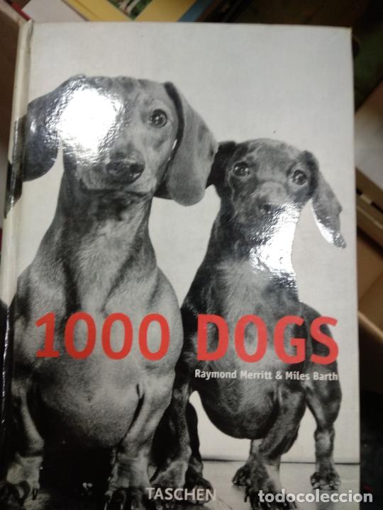Libros de segunda mano: 1000 DOGS. DE RAYMOND MERRITT & MILES BARTH. EDT TASCHEN