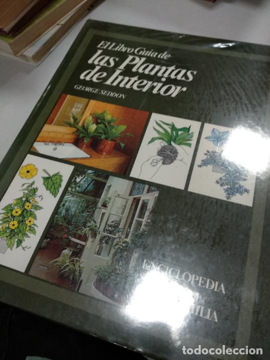 Libros de segunda mano: EL LIBRO GU&Iacute;A DE LAS PLANTAS DE INTERIOR - Seddon, George - Foto 1