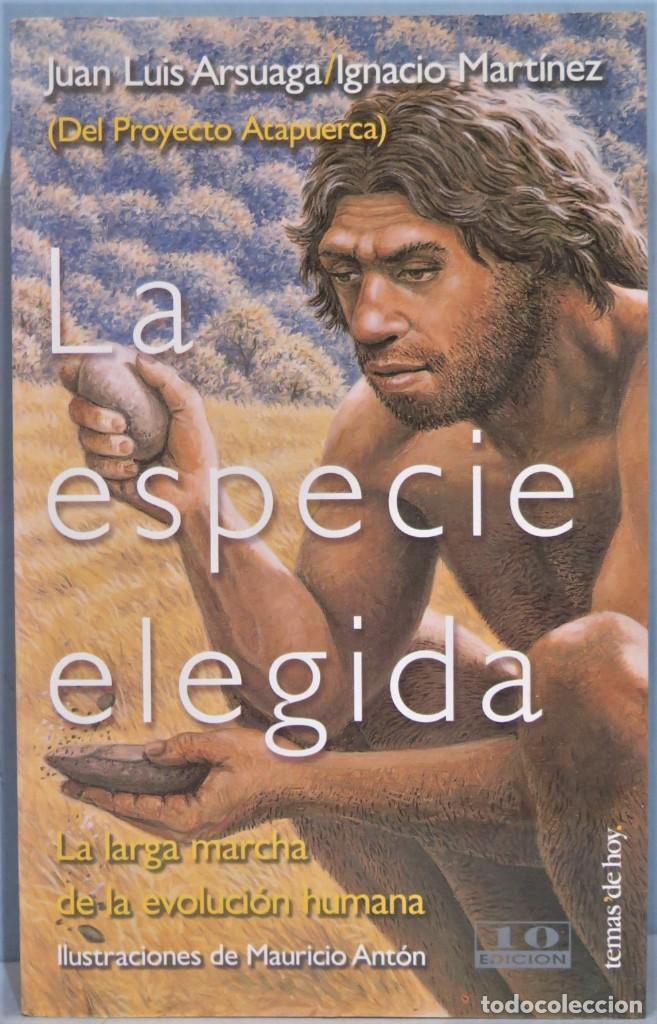 Libros de segunda mano: LA ESPECIE ELEGIDA. J.L.ARSUAGA. I.MARTINEZ - Foto 1